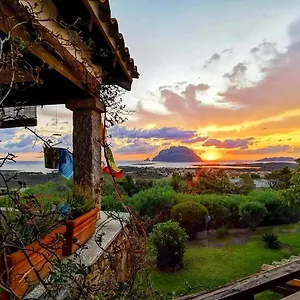 Acchiappasogni , Porto San Paolo (Sardinia) Italy